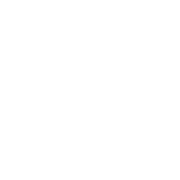 list item image