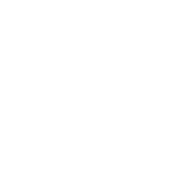 list item image