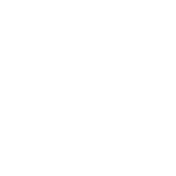list item image