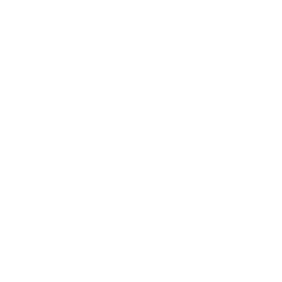 list item image
